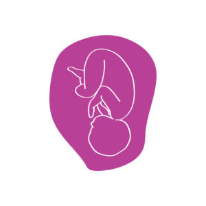 Verloskundigen Zuidplas Logo illustratie Baby in buik baarmoeder Blitz Ontwerpt
